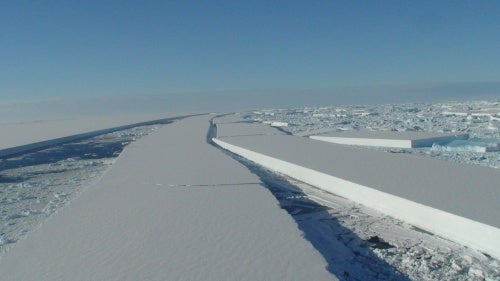 Wilkins Ice Shelf from Bas Twin Otter