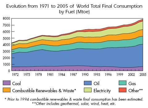 world energy use