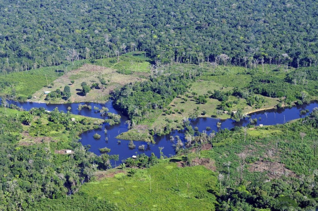 When it comes to avoiding deforestation in the Brazilian Amazon, new study reveals that federal and state agencies have had different outcomes