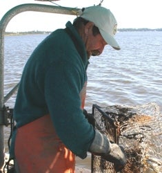 South Carolina waterman, Fred Dockery, hauling crab traps on Stono River in SC.