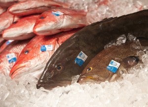 Gulf Wild™ Red Snapper and Grouper