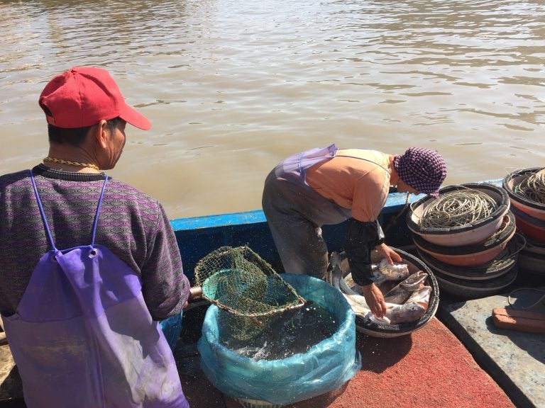 Can marine conservation be more effective by cooperating