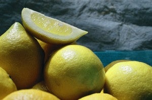 California grew 90 percent of U.S. lemons last season.