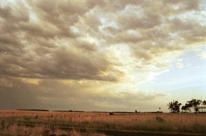Agriculture has faced increasing disruption from extreme weather and climate shifts over the past 40 years.