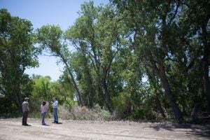 Drip Irrigation Benefits Crop, Water and Habitat