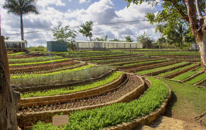 3 things Cuba can teach us about climate-smart agriculture