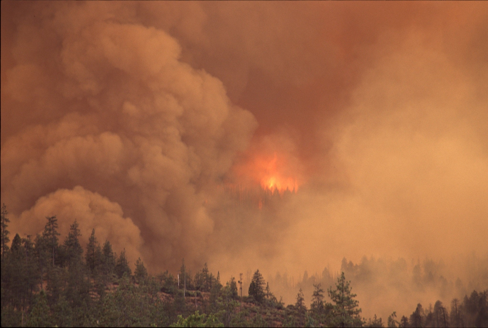 Oregon wildfire.