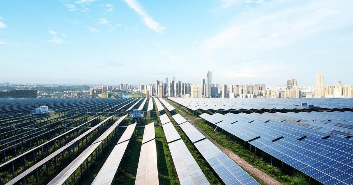 Photo of a solar farm with a city skyline in the background