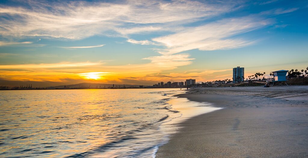 City of Long Beach Landscape