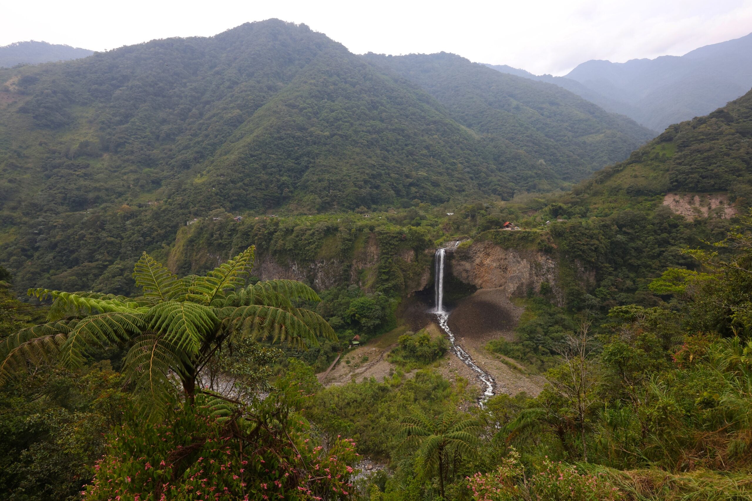 Waterfall in tropical rainforest