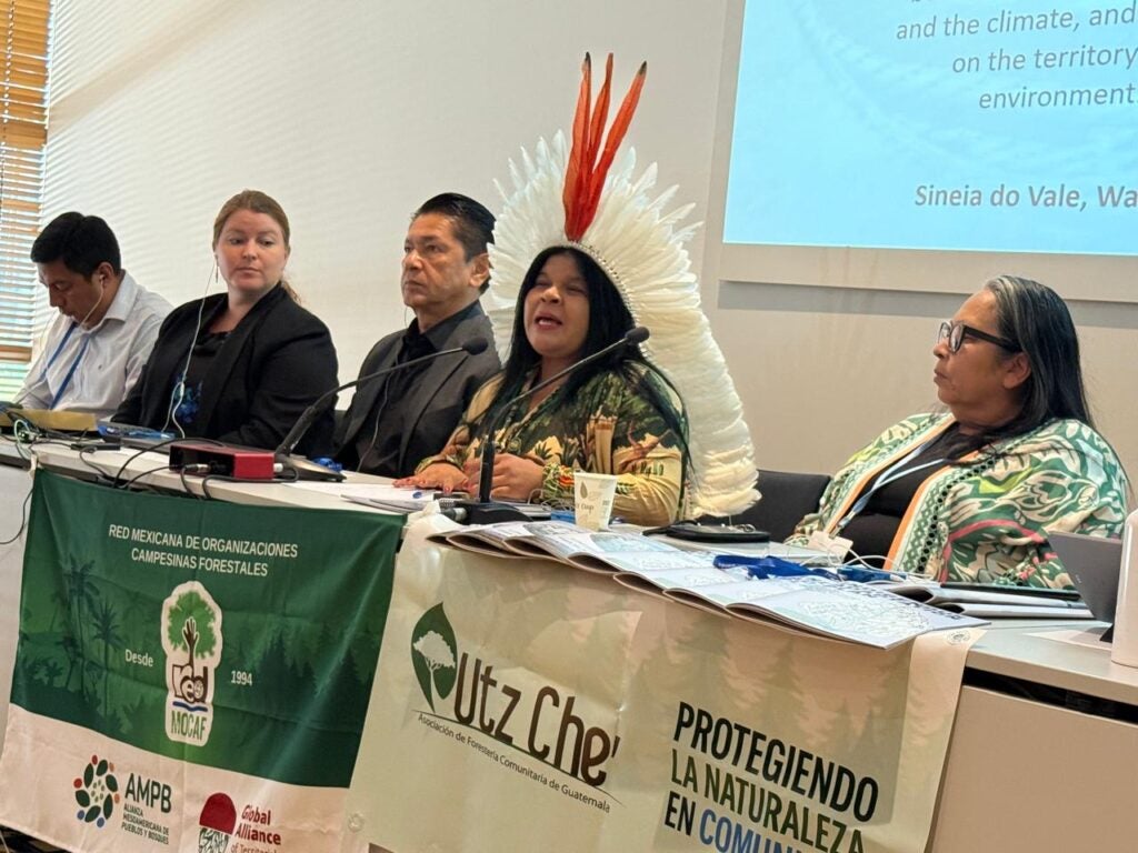 Sonia Guajajara, Minister of Indigenous Peoples of Brazil, speaking at EDF Side Event at SB62