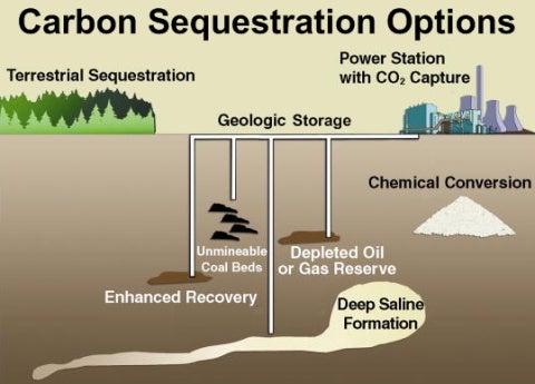 Carbon Sequestration Options