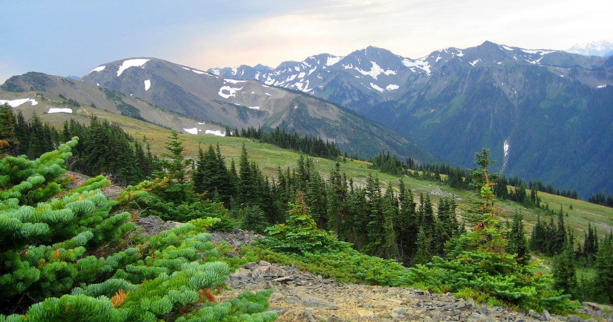 Washington state's second capandinvest auction shows strong demand