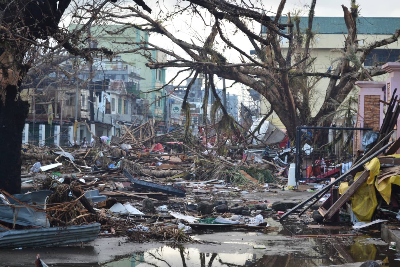 Rising Above the Storm: Transforming My Super Typhoon Experience Into ...