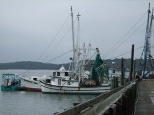 Hudson’s, a family-owned seafood house and restaurant, owns the remaining two docks on Hilton Head Island
