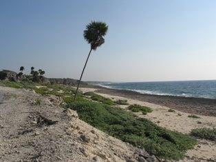 Cuba coastline