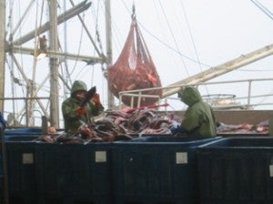 New England fishermen offload