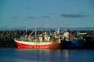 Icelandic Fishing Boats - FreeFoto.com