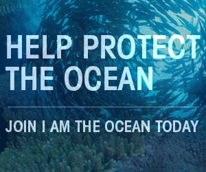 Help Protect the Ocean. Join I Am The Ocean today.