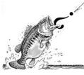 Black and white illustration of a fish on hook and line.