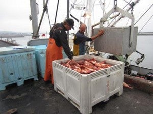 Pacific States Marine Fisheries Commission Photo