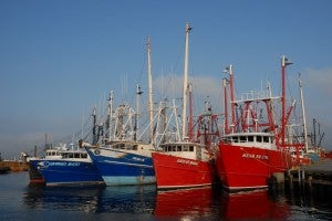 New Bedford, MA Fishing Boats 