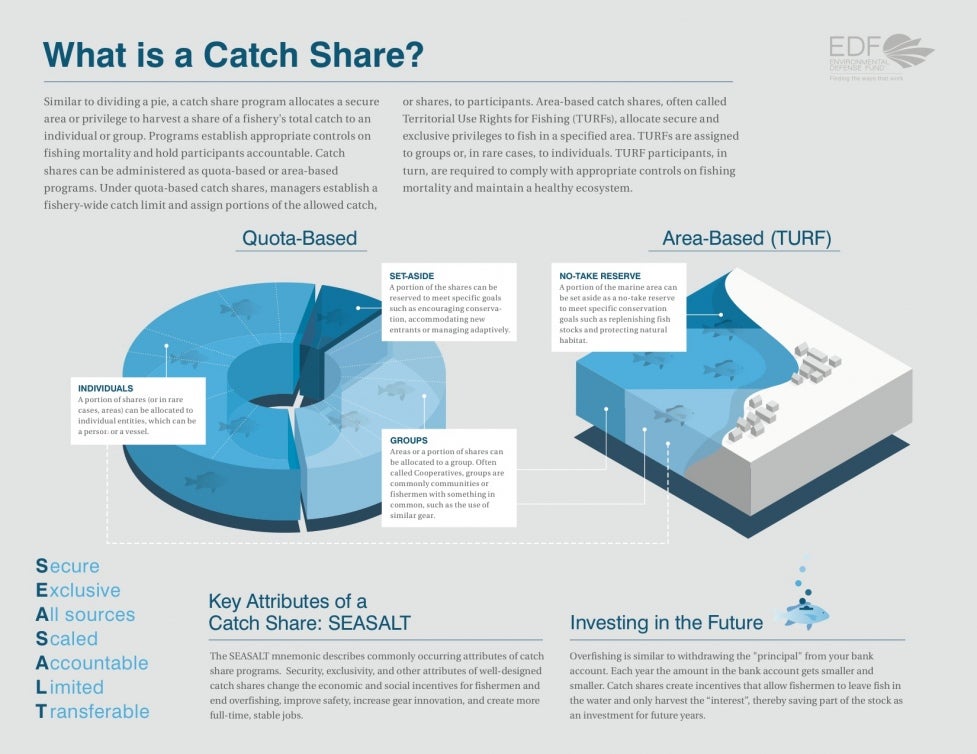 what is a catch share
