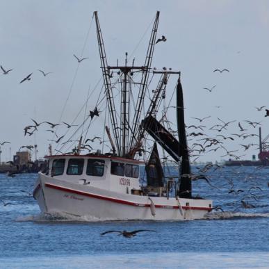 Fishing boat coming in from Galveston Bay. Photo Credit: Roy_Luck
