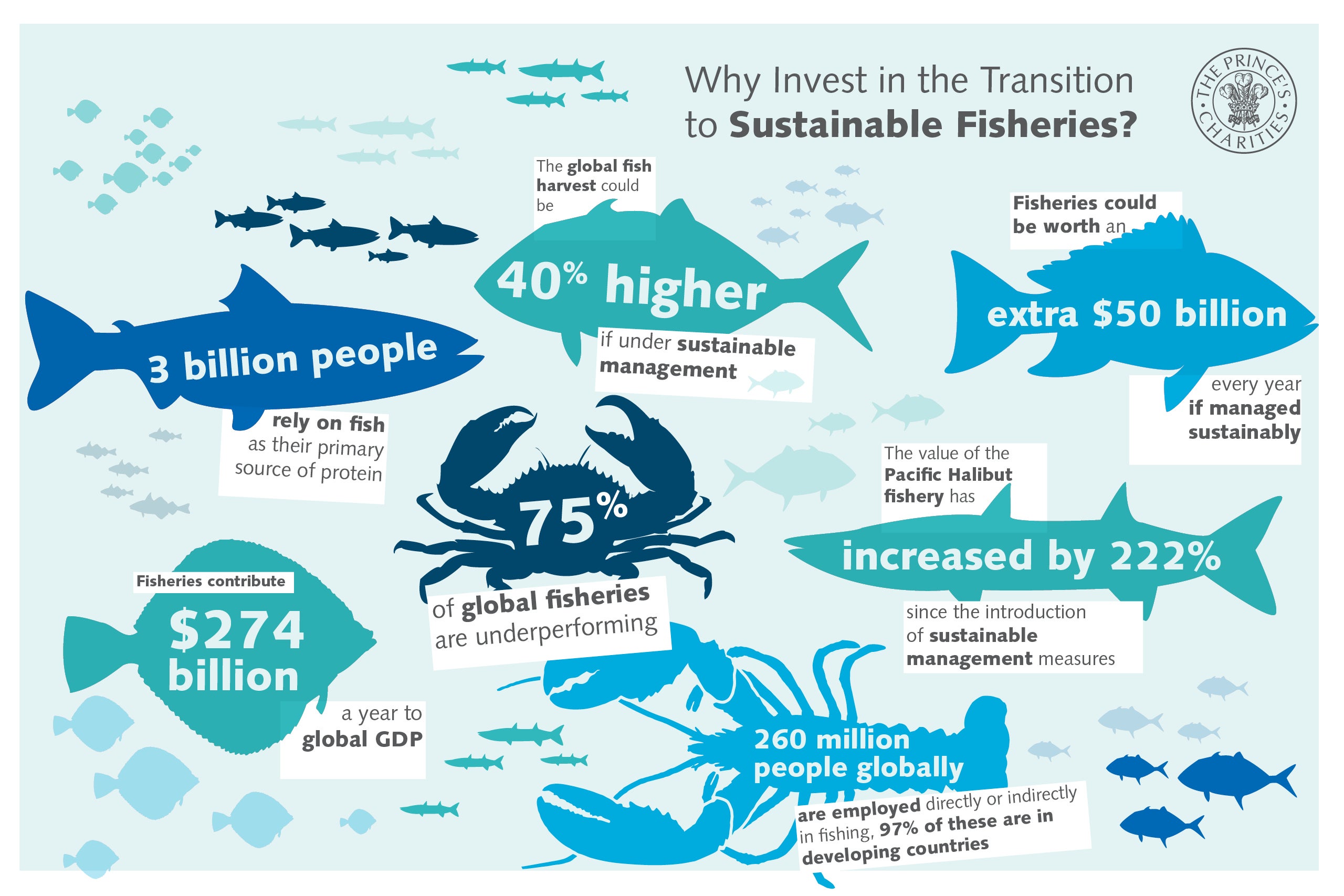 Investing in the transition to thriving EU waters A visionary new