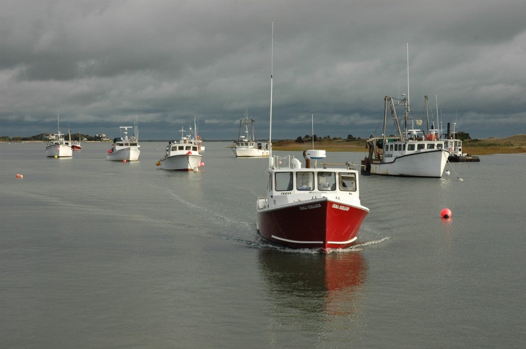 Fishing boats in Chatham, MA. Photo: Tim Connor 