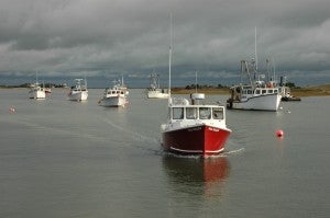 Fishing boats in Chatham, MA. Photo: Tim Connor 