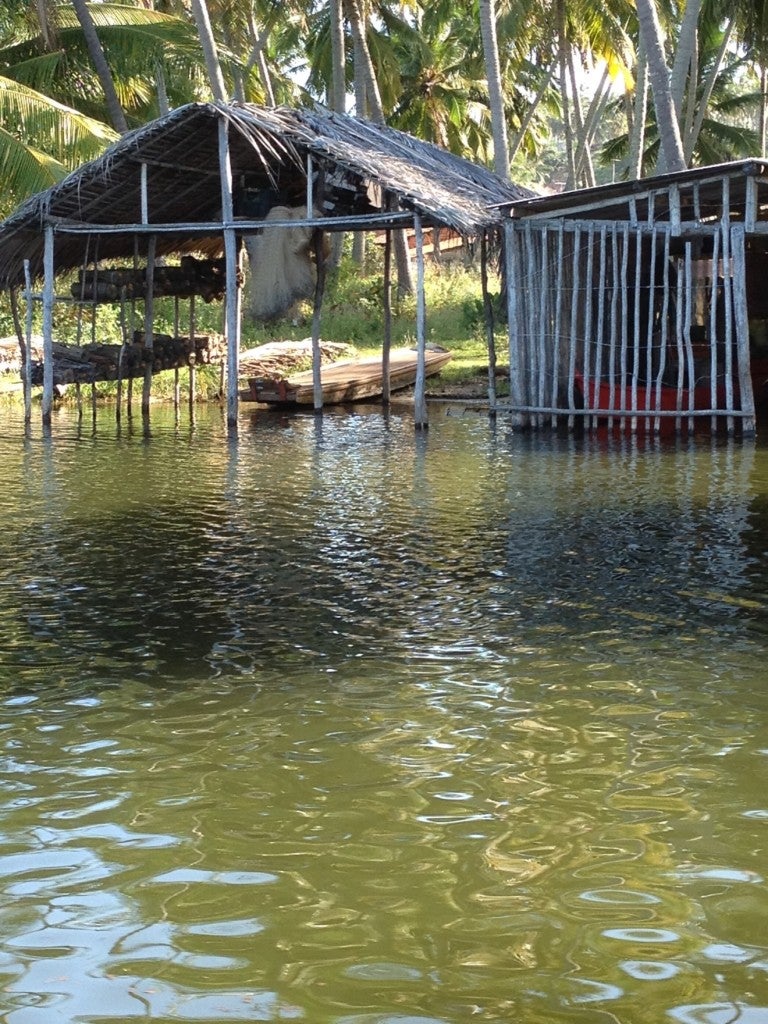 Fishing shack along a mangrove channel, Brazil