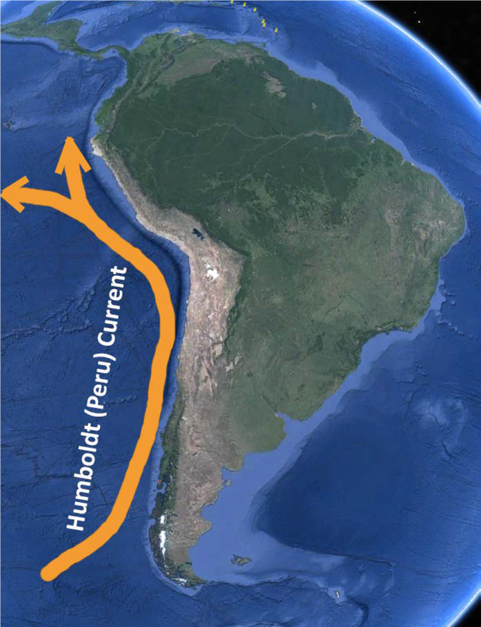 A Multinational Plan For Climate Resilient Fisheries In The Humboldt   HumCurrent Blog Image1 Map 