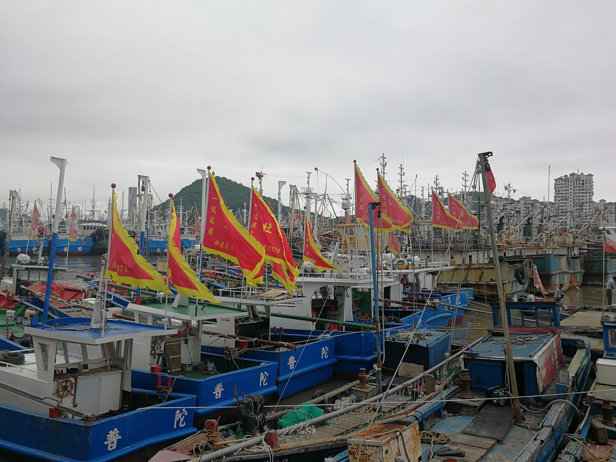 Sustainable fisheries management experiences from China