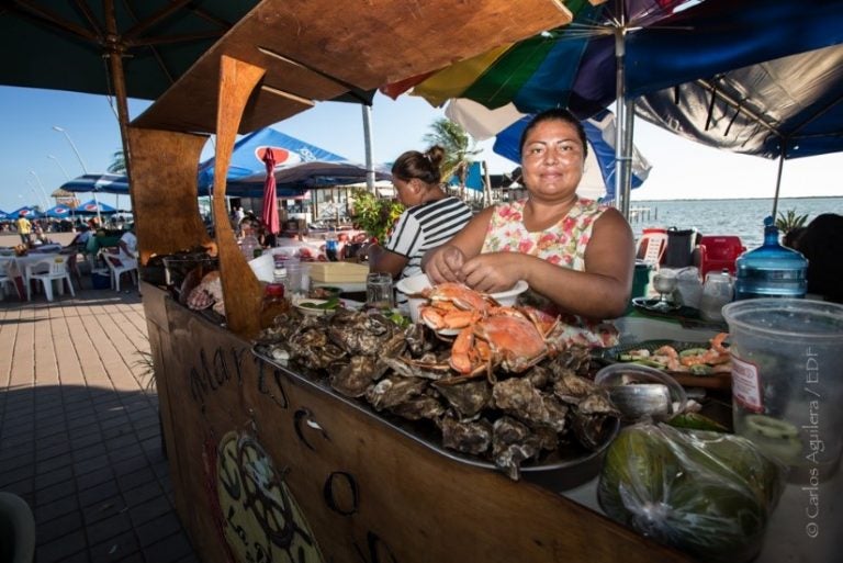 Women In Fisheries Q&A: How Women Strengthen And Support The Fishing Sector