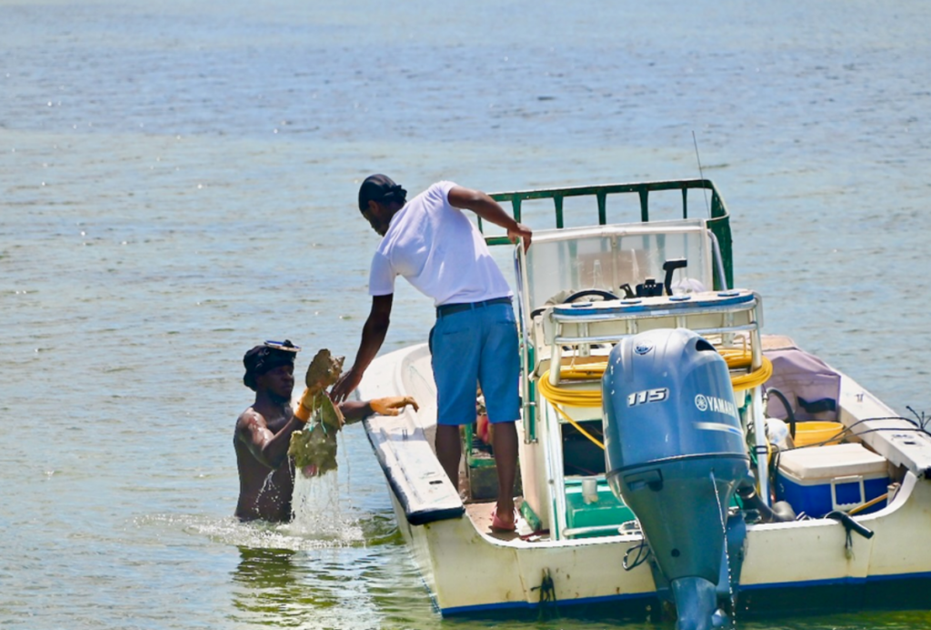 Men on a boat