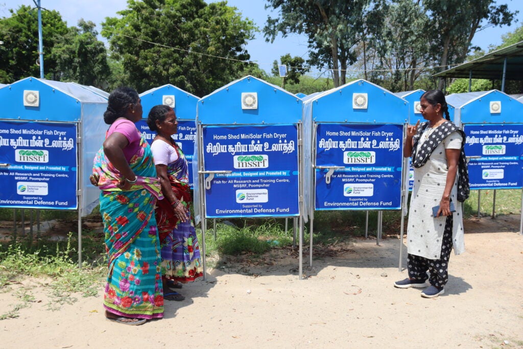 The portable solar fish dryers use the sun’s energy to dry fish in a controlled and enclosed environment. Credit: MSSRF.