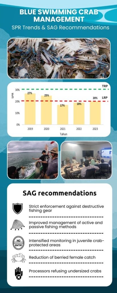 Blue swimming crab management trends