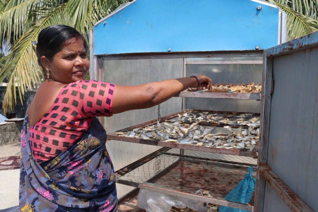 Portable mini solar dryers installed near fisherwomen's homes in a Tamil Nadu fishing village allow hygienic fish drying without the need for constant supervision. Photo credit: MSSRF.