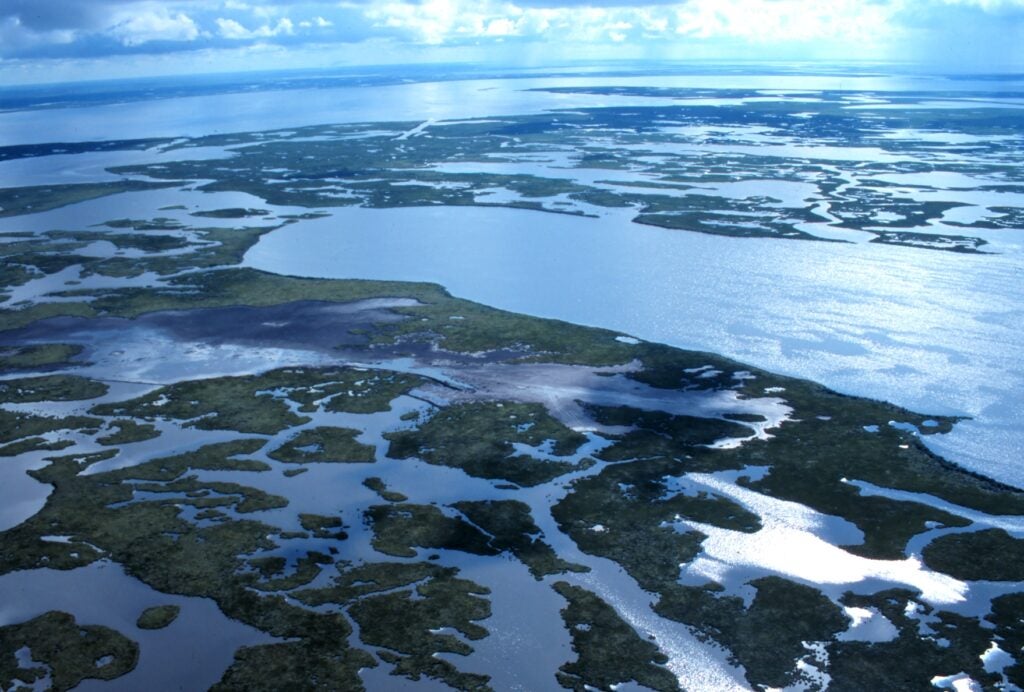 NOAA's marsh restoration project.