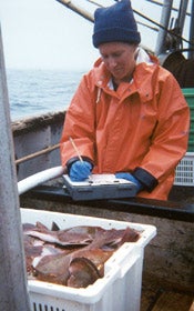 An observer on a fishing boat documenting amount of catch
