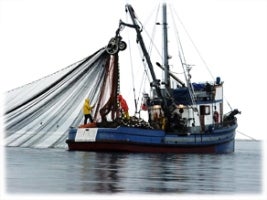 Trawl boat on the water.