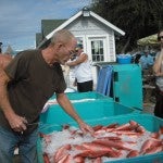 Snapper Off-load in Destin, FL