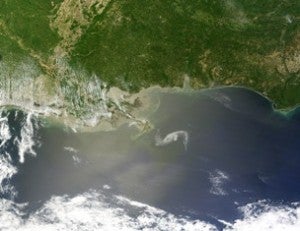 NASA satellite view of the Louisiana coastline showing the oil spill creeping toward the Mississippi Delta.