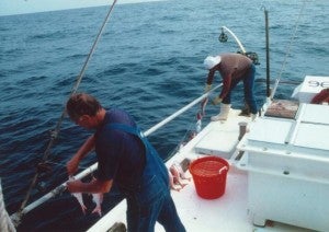 Gulf of Mexico Red Snapper