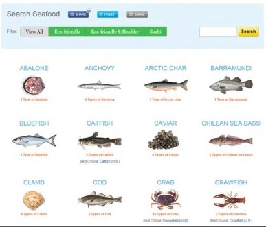 Seafood Selector helps you have your hake (and eat it too)