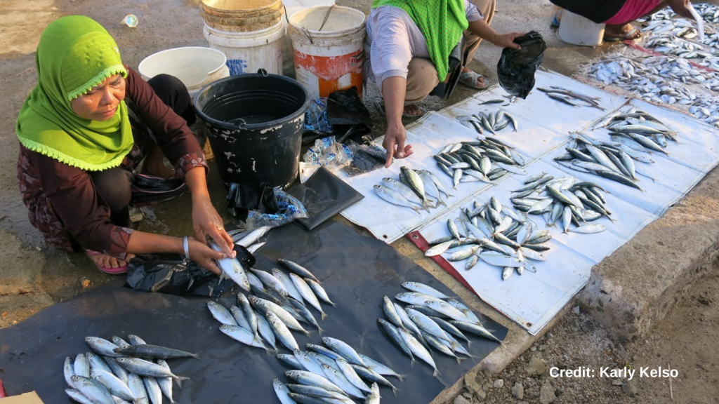 To solve our food problems, we must look to the oceans