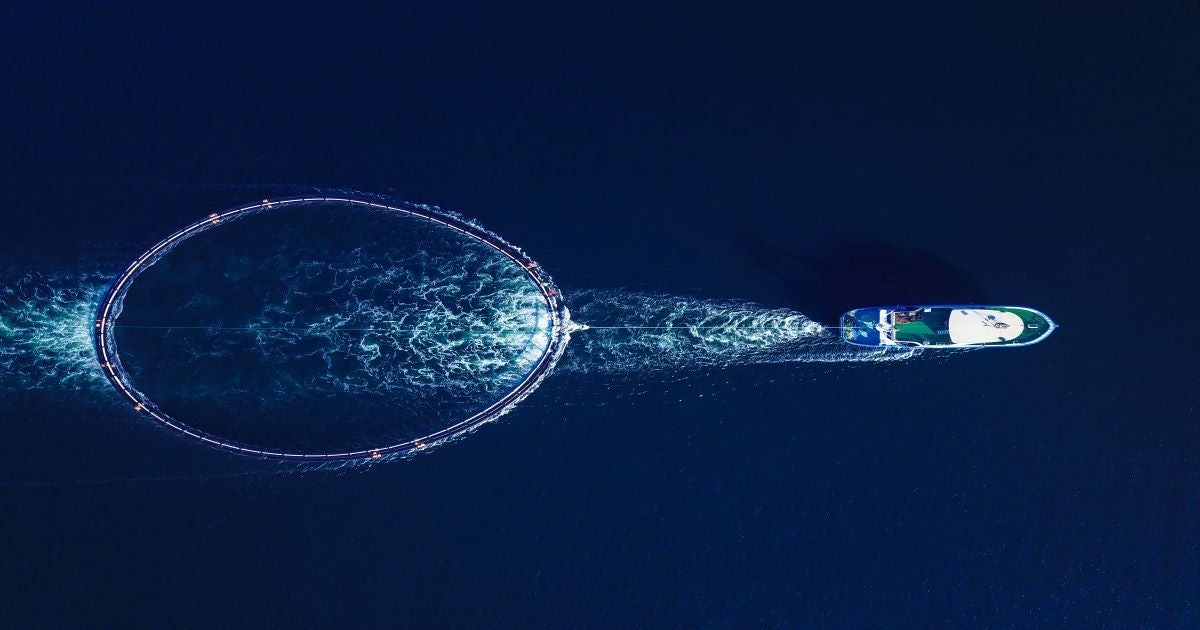 This high-tech tool can recast fishing, by Environmental Defense Fund, The Fourth Wave