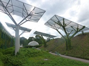 solar greenery