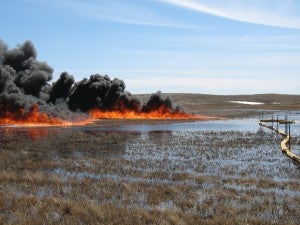 A crude oil spill on a wetland in Mountrail County, North Dakota. Photo source: US Fish and Wildlife Service